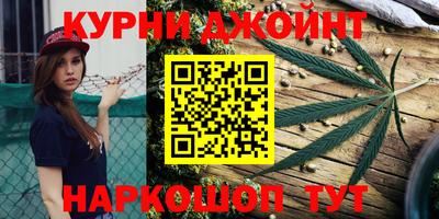 гидропоника Сланцы