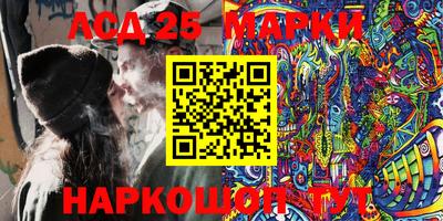 гидропоника Сланцы