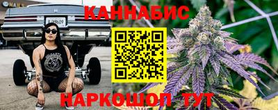 гидропоника Сланцы