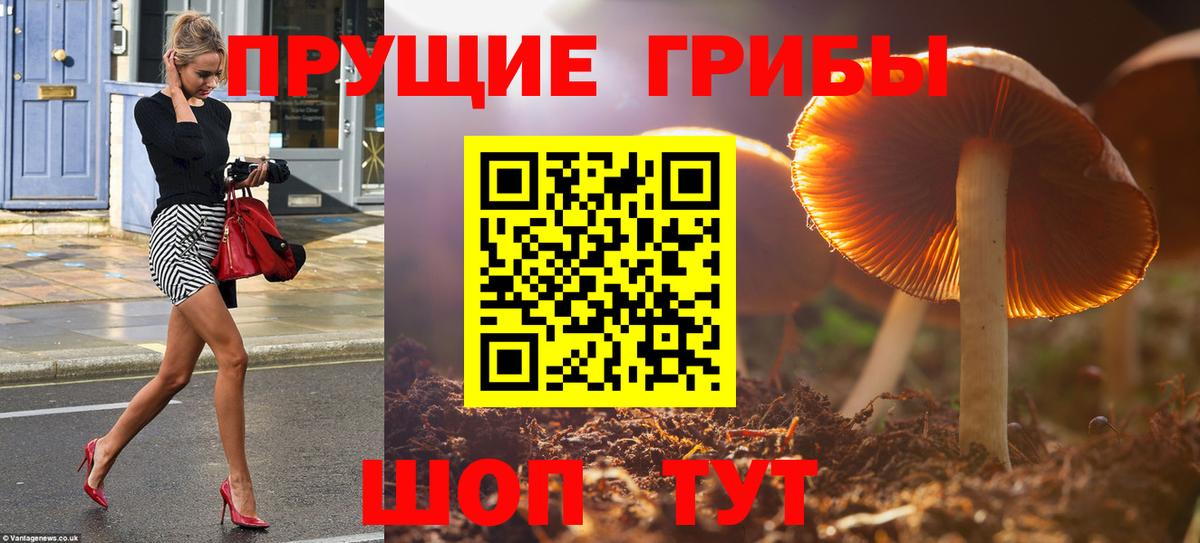 Галлюциногенные грибы ЛСД Нижний Новгород