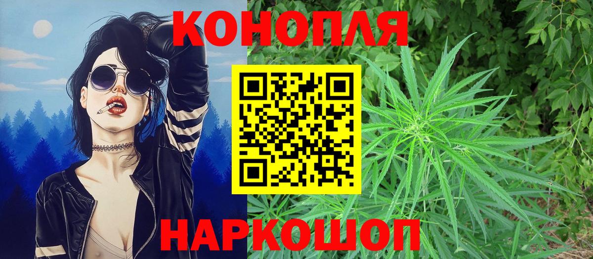 Канабис гибрид Нижний Новгород